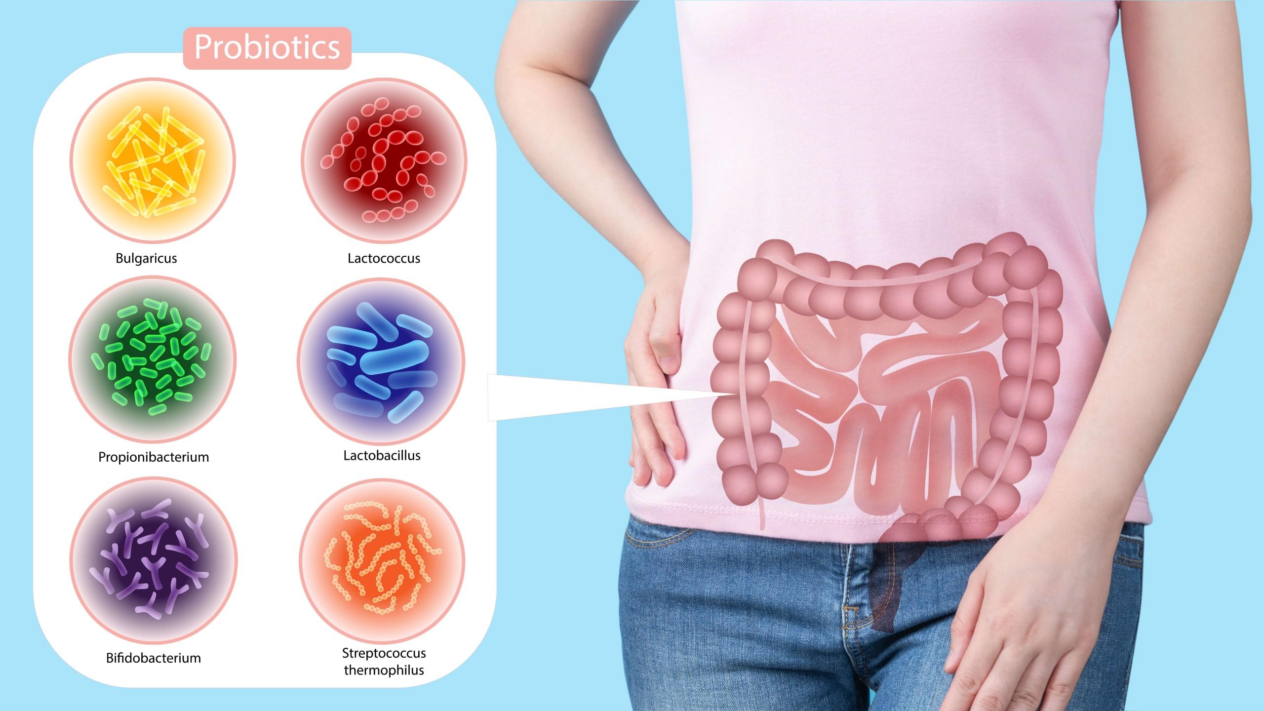 probiotics 3 image